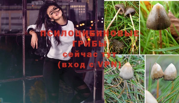 амф Белоозёрский