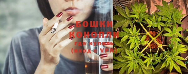 дурь Белокуриха