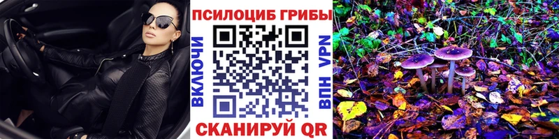Псилоцибиновые грибы прущие грибы omg сайт Вольск